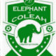 Eléphants Coleyah